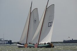 Finale wedstrijd IFKS Skûtsje zeilen bij de Lemmer druk bezocht