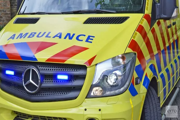 Auto tegen boom op Harlingerweg