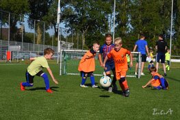 Ondanks de hitte was ook de tweede zomertraining weer een groot succes