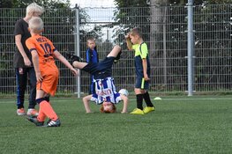 Jeugdoverzicht en seniorenoverzicht fc Harlingen