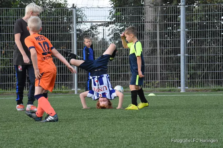 Jeugdoverzicht en seniorenoverzicht fc Harlingen
