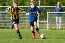 Jeugdoverzicht en seniorenoverzicht fc Harlingen