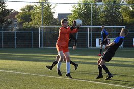 Jeugdoverzicht en seniorenoverzicht fc Harlingen
