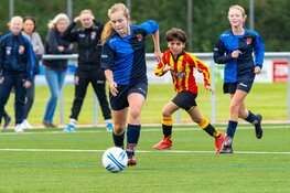 Jeugd en Senioren overzicht FC Harlingen
