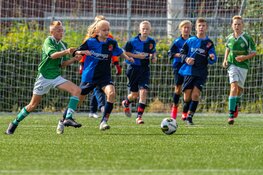 Jeugd en Senioren overzicht FC Harlingen