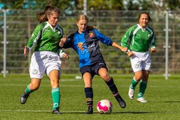 Jeugd en Senioren overzicht FC Harlingen