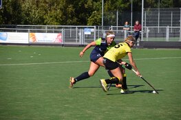 Verslagen 20 september