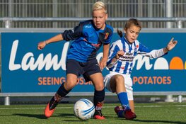 Jeugdoverzicht fc Harlingen