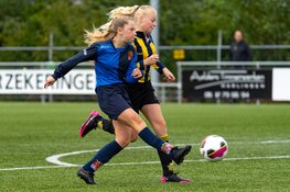 Jeugdoverzicht en het jeugdprogramma FC Harlingen