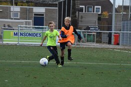 Jeugdoverzicht van fc Harlingen