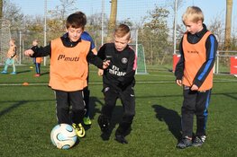 Jeugdoverzicht FC Harlingen