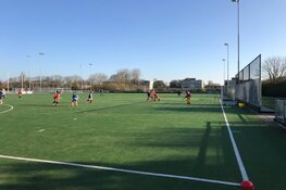 Weekoverzicht HMHC Harlingen