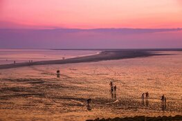 Nacht van het Wad officieel van start op langste nacht van het jaar