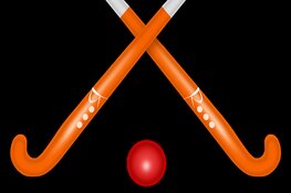 HMHC organiseert digitale ALV