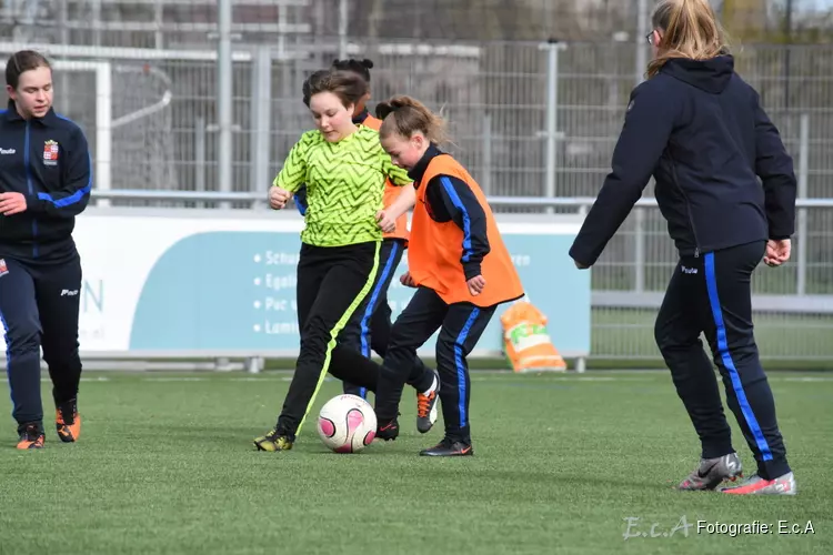 Wat gebeurde er afgelopen weekend bij fc Harlingen en wat kunnen we dit weekend verwachten?