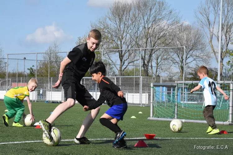 FC Harlingen jeugdoverzicht