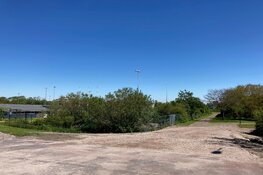 Hockeynieuws van HMHC: komend weekend volop jeugdhockey