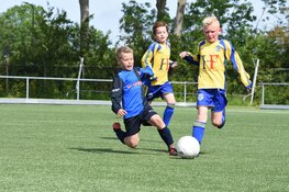 Jeugdoverzicht fc Harlingen, Regiocup ronde 2