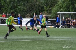 Jeugdoverzicht fc Harlingen