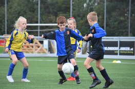 Jeugdoverzicht fc Harlingen