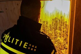 Drie aanhoudingen in groot onderzoek naar mensenhandel en hennepteelt