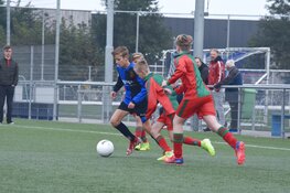 Jeugdoverzicht fc Harlingen