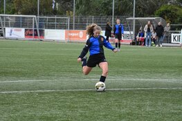 Jeugdoverzicht fc Harlingen