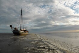 Zeilen met Ini in 2022