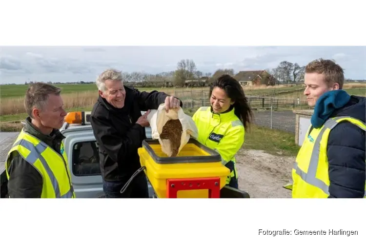 Liander schenkt Harlingen bloemenberm