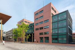 OM eist zeven jaar en TBS na brandenreeks Harlingen