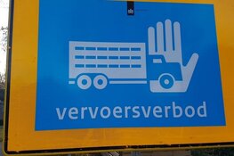 Vogelgriep vastgesteld op pluimveebedrijf in Tzum