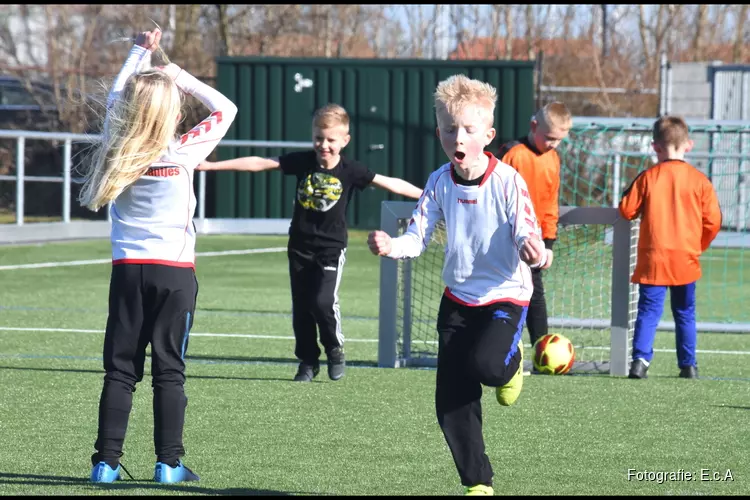 FC Harlingen Jeugdoverzicht