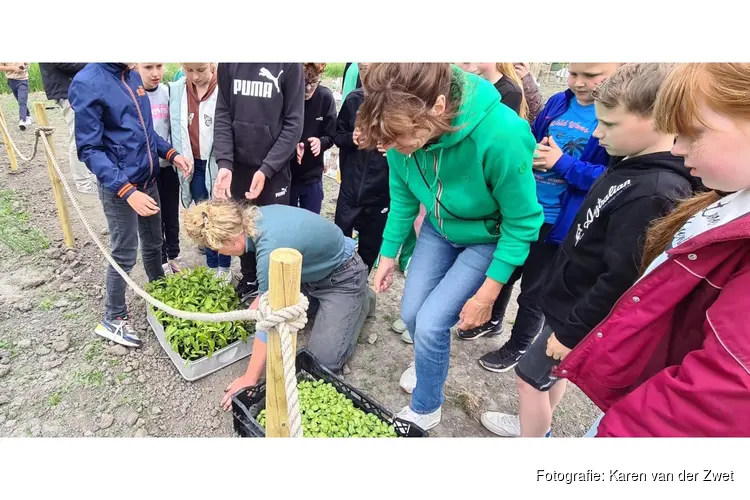 Groep 6 van basisschool ’t Wad aan de slag met moestuin