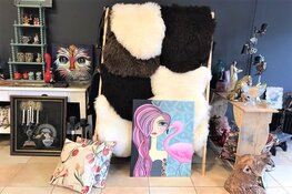Nieuw in Franeker: De inspirerende winkel 'Van Alles & Nog Wat'