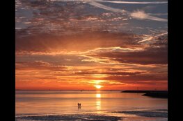 Harlinger ondernemers opgelet!