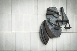 Harlinger aangehouden voor meerdere zedendelicten en poging tot doodslag