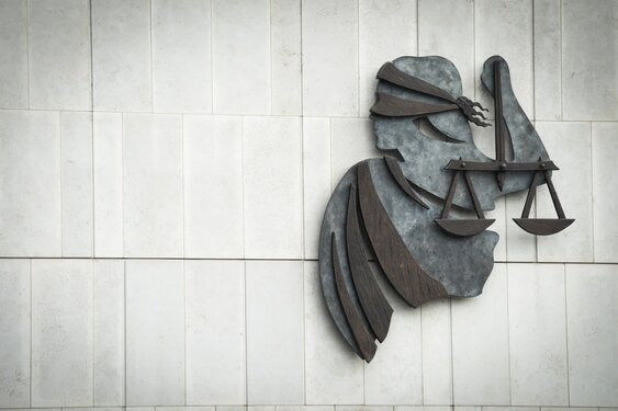 Harlinger aangehouden voor meerdere zedendelicten en poging tot doodslag