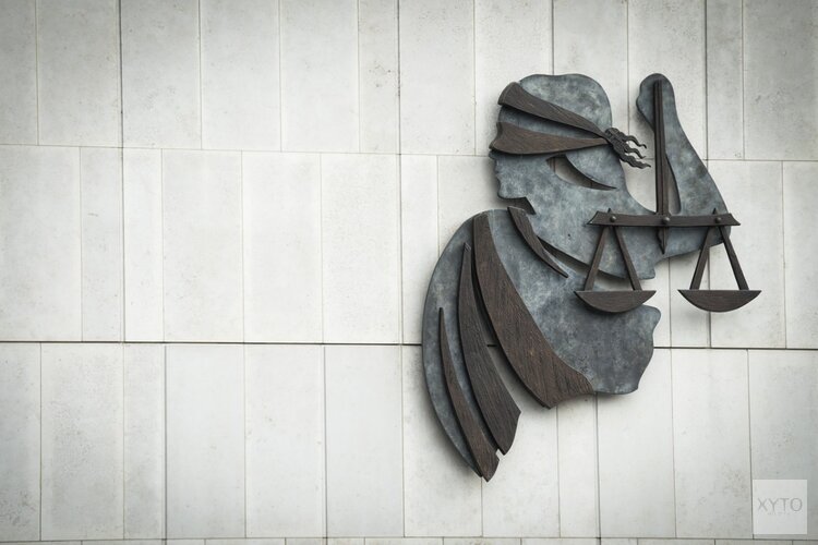 Harlinger aangehouden voor meerdere zedendelicten en poging tot doodslag