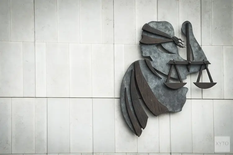 Harlinger aangehouden voor meerdere zedendelicten en poging tot doodslag