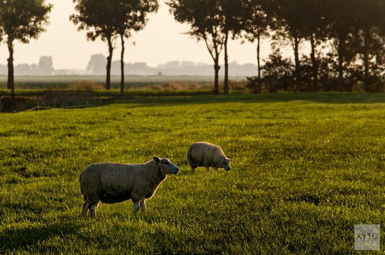 April doet wat het wil, maar temperaturen lopen langzaam op