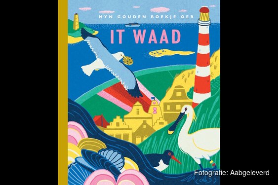 Nieuw verschenen bij de Afûk: It Waad van Jet Bakels